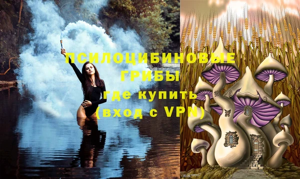 марки lsd Бугульма