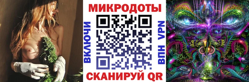 Купить  Малгобек  Галлюциногенные грибы Magic Shrooms 